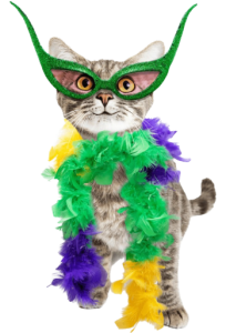 a mardi gras/carnival kitty